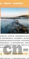 91制片厂制作果冻传媒168-91制片厂与果冻传媒168，数字时代下的内容创新与挑战