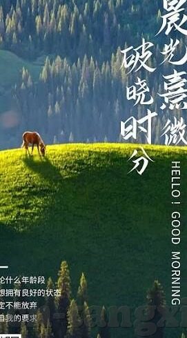 麻豆免费app-点亮创意的火花，探秘麻豆免费app的独特魅力与影响