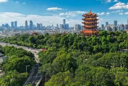 免费在线观看麻豆视频-探索网络时代的内容消费新势力，免费在线观看麻豆视频的魅力与影响