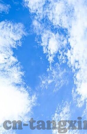 糖心短视频app-探秘糖心短视频App的魅力与影响